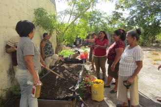 A group of women standing around a small seedbed in El Salvador. One of the women points to the seedbed and talks about the seedlings. The background is a larger garden area.