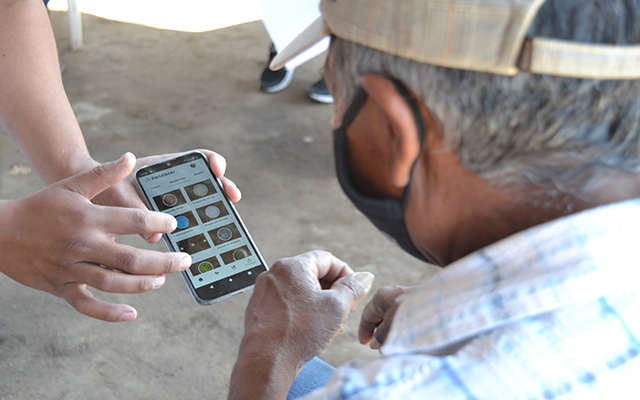 An older man from Argentinian background learns how to use a mobile app containing a climate warning system and learning modules for agriculture and water harvesting. The app is visible on the phone showing different kinds of seeds. 