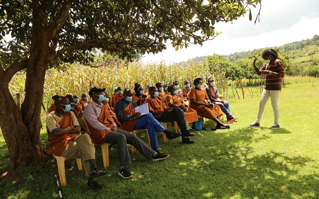 A group of farmers listening to a female trainer in an open- air area in Kenya. On the left side farmers are sitting on chairs in orange pastoralist clothes, protected with shade by a tree next by. On the right side a female trainer in orange clothes is talking. The setting is a green open-air landscape with fields in the background. 