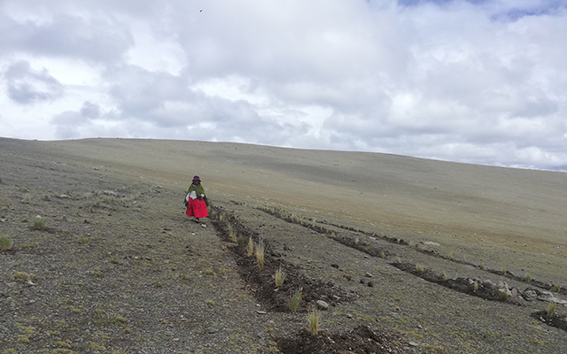 A dry area in the Bolivian highlands with grass degradation. A woman is standing in the background with traditional Bolivian clothing walking on the grassland. 