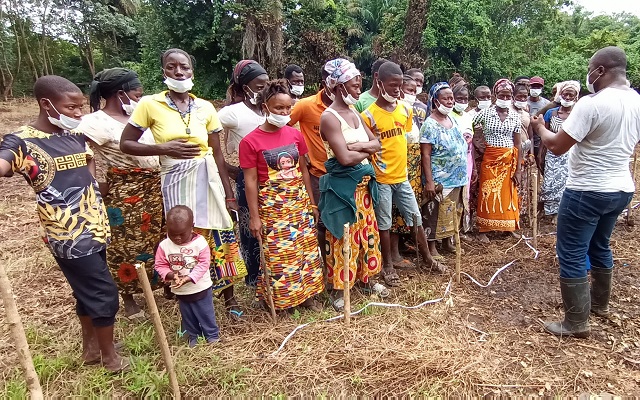 The photograph is in Sulimania, in the Warawaragala Chiefdom, Koinadugu District, of Northern Sierra Leone. Sulimania is one of the
4 ecovillages of Future in our Hands NGO. The photo shows Rasheed Arounehkamara, the lead instructor, training farmers on land preparation for the establishment of permaculture farms.


