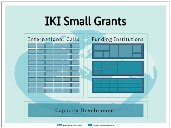 A graphic visualizing the organization of the two components of the IKI Small Grants funding programme. On top the headline of IKI Small Grants is shown. Below we see two boxes, one depicting the component “International Calls” and the other showing the component “funding institutions”. In the box “international Calls” several small blue squares are shown, representing several small-scale projects that are directly funded by this component. 

In opposition, the Box “funding institutions” shows bigger blue boxes, representing the selected funding institutions funded by IKI Small Grants, while within these boxes several small blue boxes appear, which represent the small projects, that are funded by the funding institutions. 

Below we can see another big blue box with the words “capacity development”, indicating that capacity development is an important factor in both components and thus for the overall IKI Small Grants programme. 
