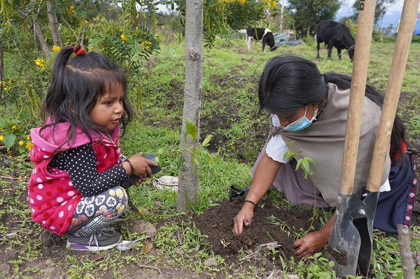 The photo shows a mother and her daughter who are planting seedlings.