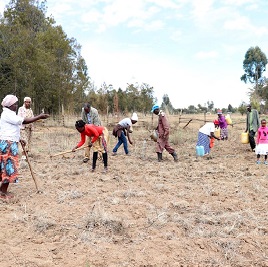 Climate-smart agriculture and risk management in Laikipia and Nyandarua