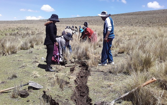Jaillihuaya Community - Construction of infiltration ditches for transplanting and planting of native grasses