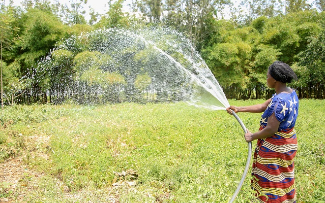 Woman watering a field with a water hose
