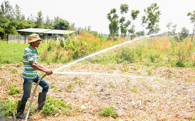 Man watering a field with a water hose