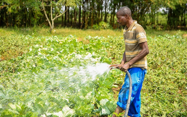 Man watering a field with a water hose