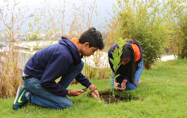 Students planting new plants
