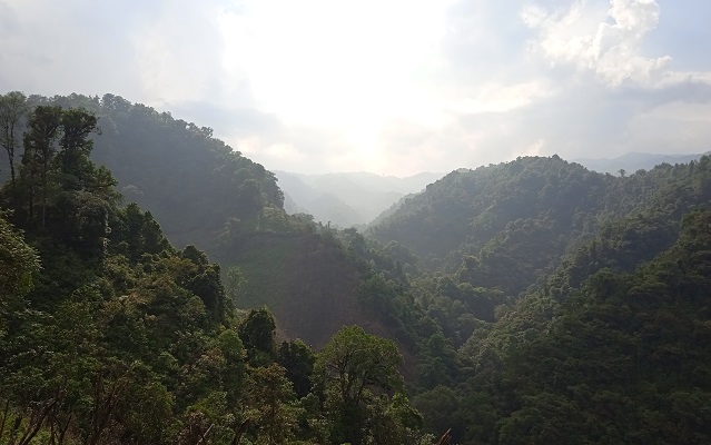Cloud Forest View from the gorge of Caotepec