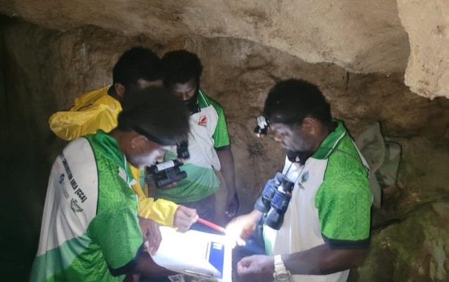 Rangers carrying out cave bat survey
