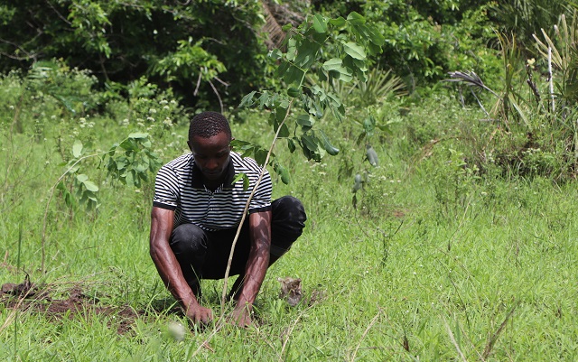 One men of the monitoring scouts planting a tree