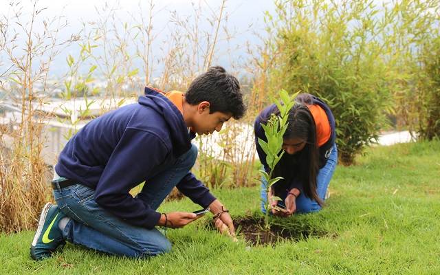 Students planting new plants