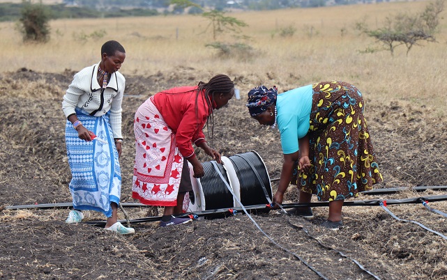Women during the installation of drip irrigation pipes at the Oloika site, Kajiado East