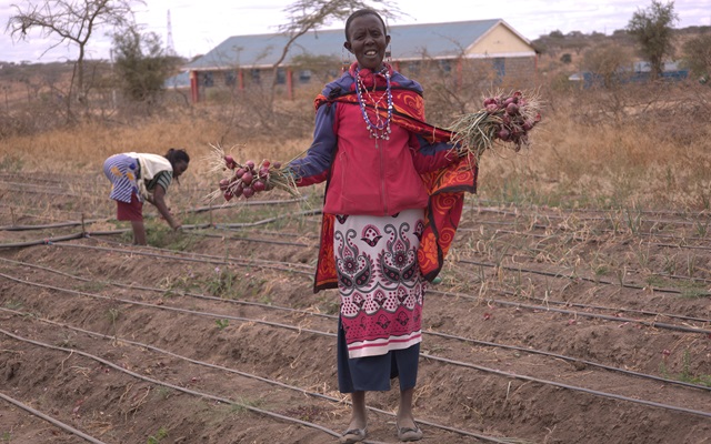 Farmer from Olkiloruti Women Group farmer showcasing the onions she harvested from the demonstration Farm in Kajiado County