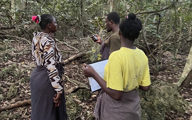 Community scouts during the colobus census and biodiversity disturbance survey at Kaya Kinondo