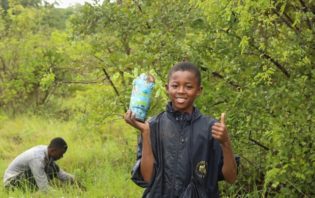 A boy from Mwanmua village, Kaya Muhaka taking part in tree planting