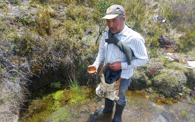 Characterization of the production systems in Chavin de Pariarca: Local male producer identifying a water source during the excursion.