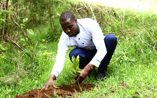 A lead farmer demonstrates how to plant a tree seedling during the implementing silvopastoral systems in the North Rift project field demonstration day
