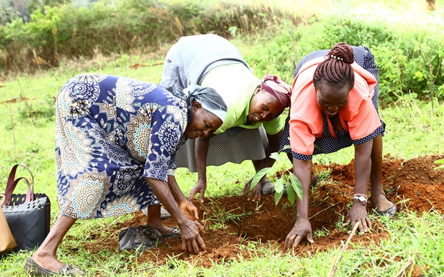Project participating women farmers plant a seedling after the demonstration and training at the communal grazing land