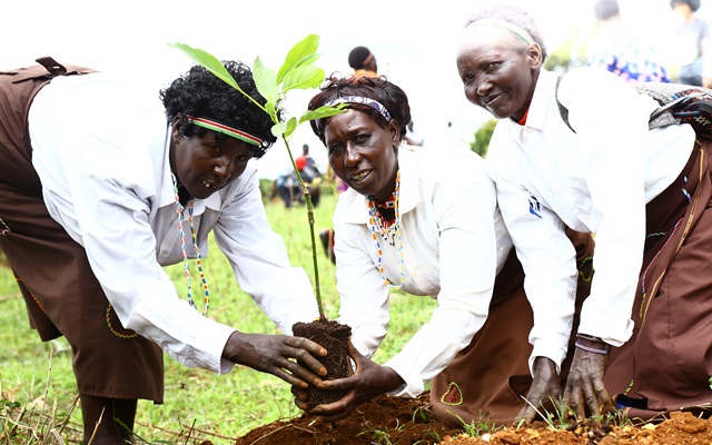 Project participating women farmers plant an avocado seedling after the demonstration and training at one of the selected public ATC land