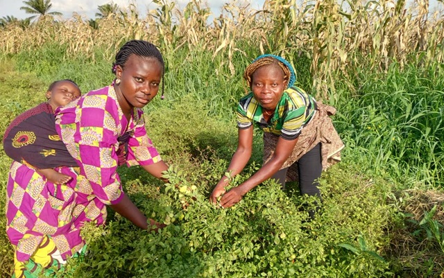 Two women during crop